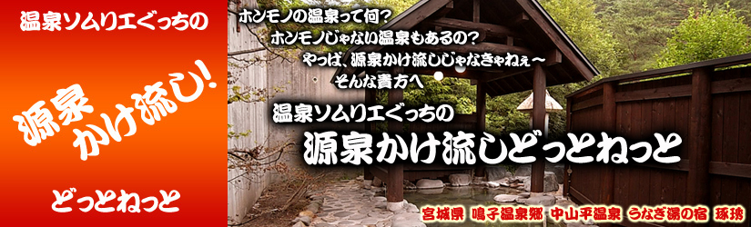 うなぎ湯の宿　琢琇　源泉かけ流しどっとねっと.jpg