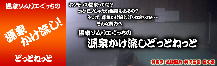 草津温泉　巽の湯　源泉かけ流しどっとねっと top.jpg