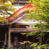 藤三旅館2　源泉かけ流しどっとねっと.jpg