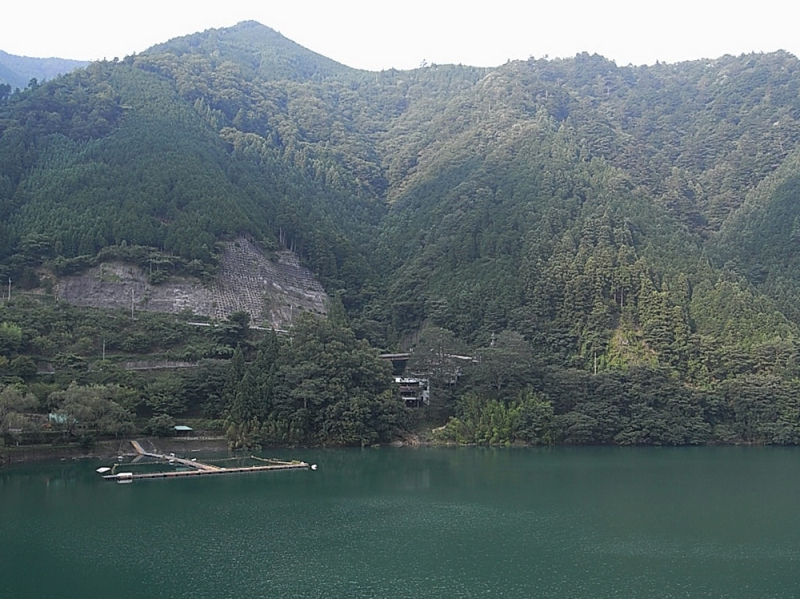 入之波温泉山鳩湯20.JPG