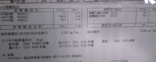 観海寺温泉　いちのいで会館 温泉分析書　源泉かけ流しどっとねっと.jpg