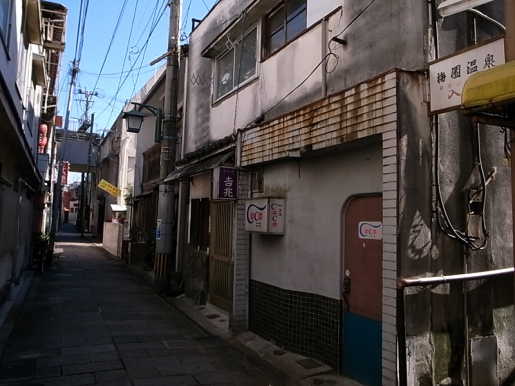 別府温泉　梅園温泉1　源泉かけ流しどっとねっと.jpg