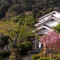 栗野岳温泉南洲館　外4　【源泉かけ流しどっとねっと】.JPG