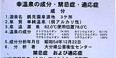 別府　幸温泉 温泉分析書　源泉かけ流しどっとねっと.JPG