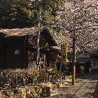 源泉かけ流しどっとねっと　ゆりの山温泉1.jpg