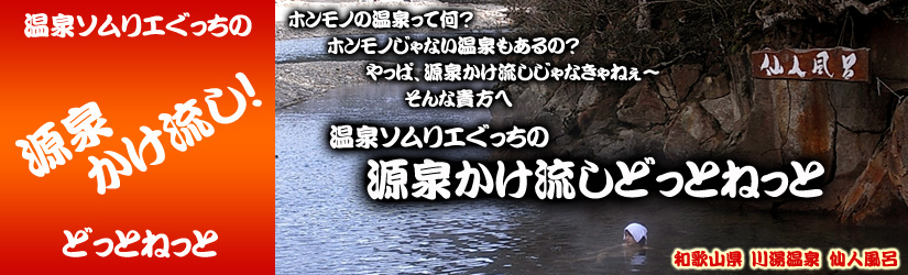 川湯温泉　仙人風呂top　源泉かけ流しどっとねっと.jpg