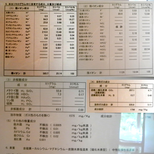 41　小梨の湯笹屋　温泉分析書　源泉かけ流しどっとねっと.jpg