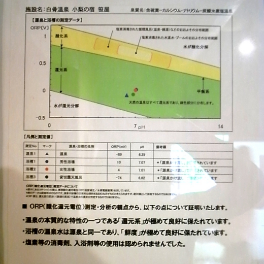 42　小梨の湯笹屋　ORP分析書　源泉かけ流しどっとねっと.jpg